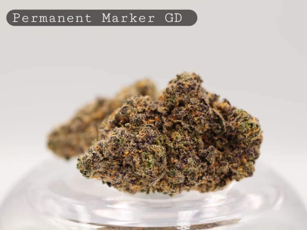 Greendoor-Permanent-Marker-bud_Cannabis_-Flower_weed_the-dope-warehouse Greendoor-Permanent-Marker_Cannabis-Flower_The-Dope-Warehouse