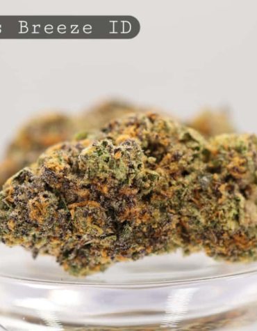Indoor-Citrus-Breeze_Cannabis-Flower_The-Dope-Warehouse
