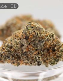 Indoor-Gelonade_Cannabis-Flower_The-Dope-Warehouse