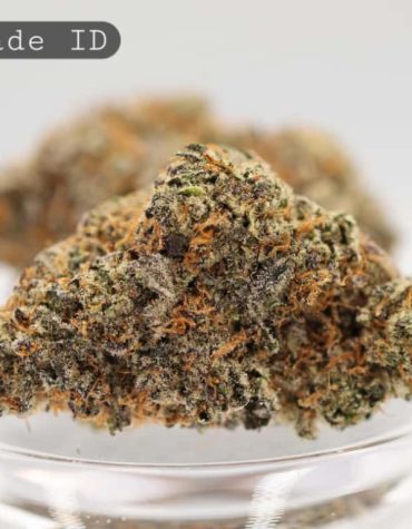 Indoor-Gelonade_Cannabis-Flower_The-Dope-Warehouse