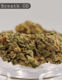 Outdoor-Mendo-Breath_Cannabis-Flower_The-Dope-Warehouse