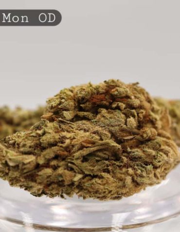 Outdoor-Tally-Mon_Cannabis-Flower_The-Dope-Warehouse