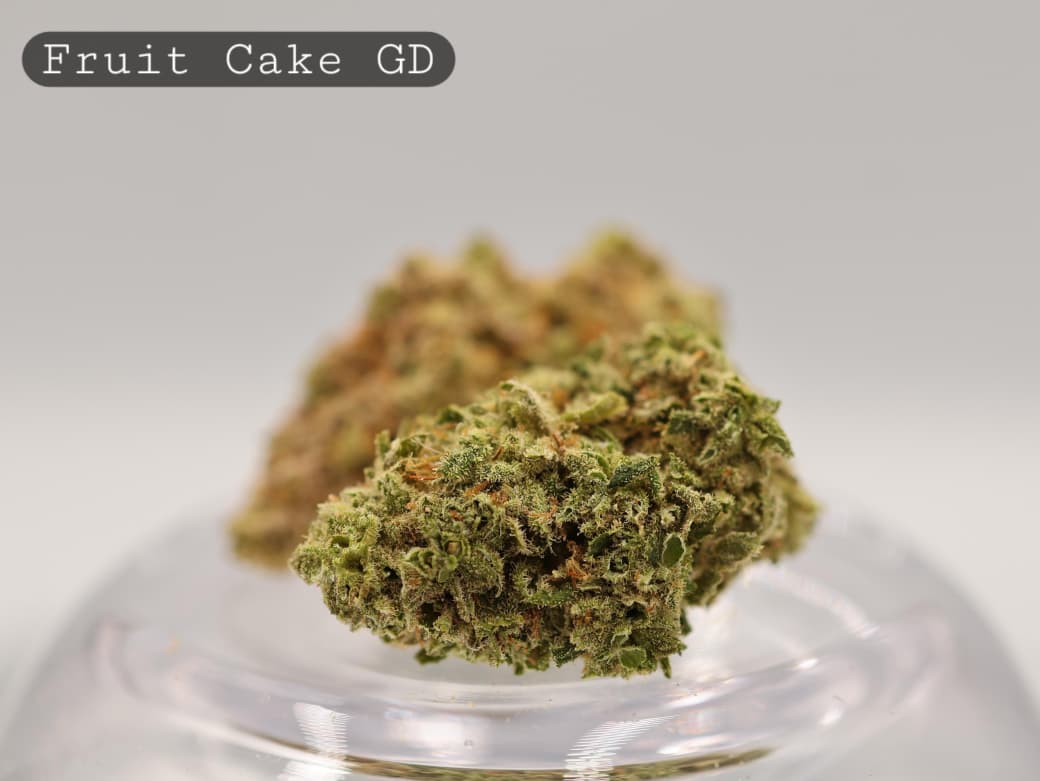 Greendoor-Fruit-Cake-The-Dope-Warehouse-Cannabis-THC-Bud-Weed Greendoor-Fruit-Cake_Cannabis-Flower_The-Dope-Warehouse