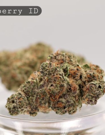 Indoor-Blockberry_Cannabis-Flower_The-Dope-Warehouse