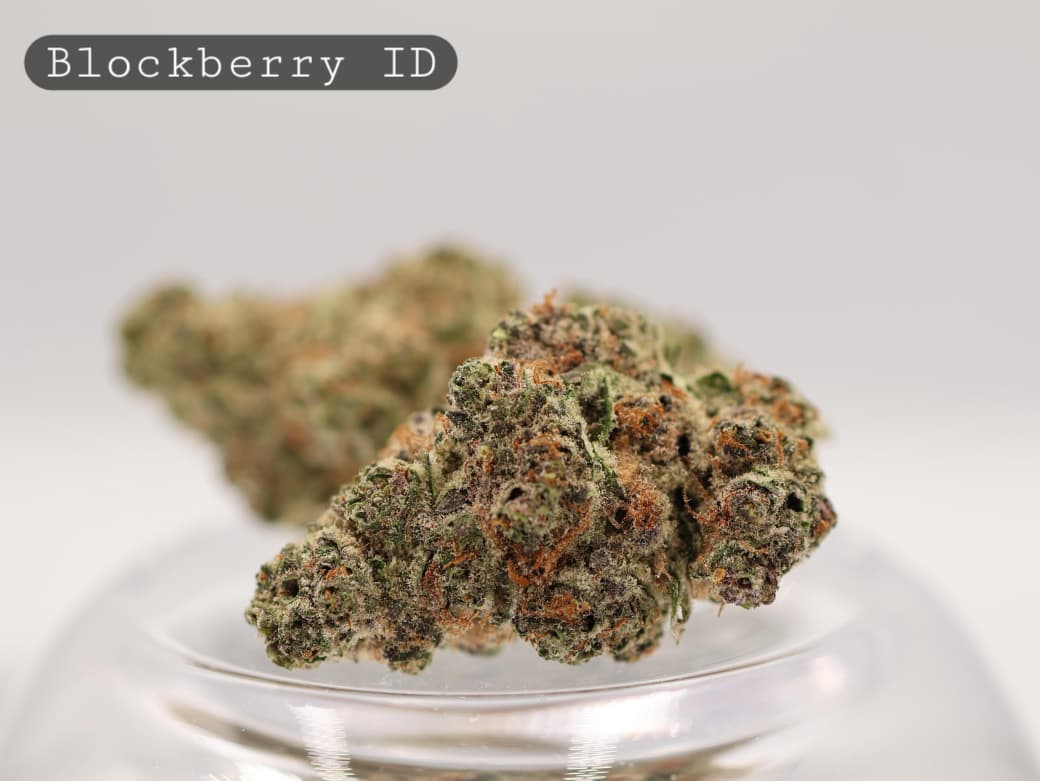Indoor-Blockberry-The-Dope-Warehouse-Cannabis-THC-Bud-Weed Indoor-Blockberry_Cannabis-Flower_The-Dope-Warehouse