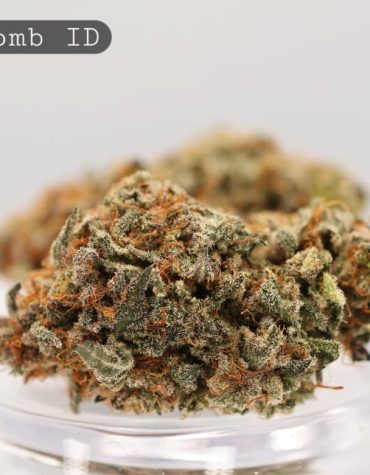 Indoor-Ice-Bomb_Cannabis-Flower_The-Dope-Warehouse