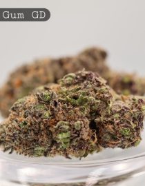 Greendoor-Grape-Gum_Cannabis-Flower_The-Dope-Warehouse