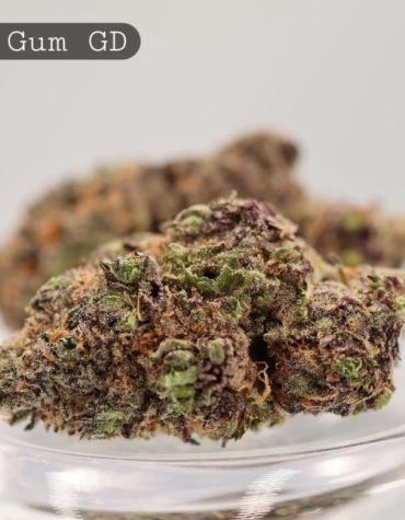 Greendoor-Grape-Gum_Cannabis-Flower_The-Dope-Warehouse
