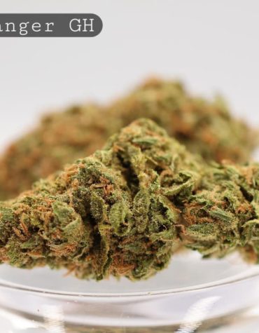 Greenhouse-Headbanger_Cannabis-Flower_The-Dope-Warehouse