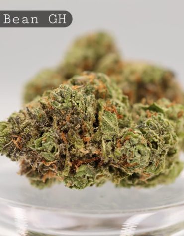 Greenhouse-Jolly-Bean_Cannabis-Flower_The-Dope-Warehouse