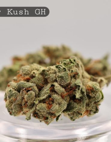 Greenhouse-Kosher-Kush_Cannabis-Flower_The-Dope-Warehouse