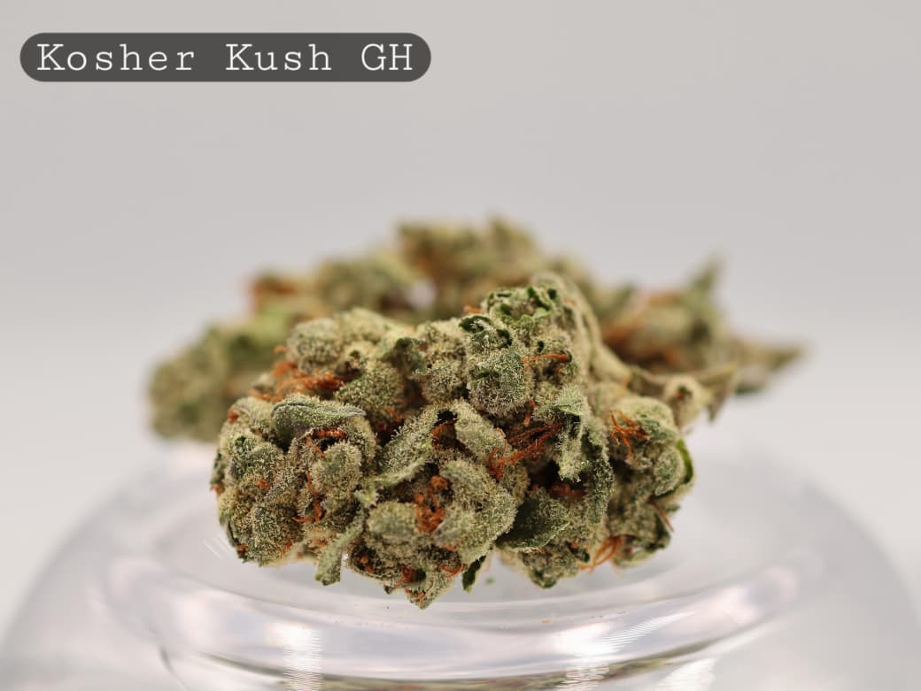 Greenhouse-Kosher-Kush-The-Dope-Warehouse-Cannabis-THC-Bud-Weed Greenhouse-Kosher-Kush_Cannabis-Flower_The-Dope-Warehouse