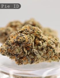 Indoor-Apple-Pie_Cannabis-Flower_The-Dope-Warehouse