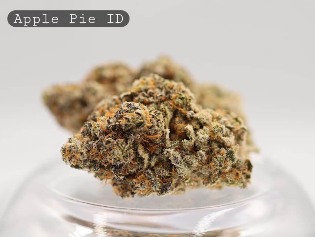 Indoor-Apple-Pie-The-Dope-Warehouse-Cannabis-THC-Bud-Weed Indoor-Apple-Pie_Cannabis-Flower_The-Dope-Warehouse