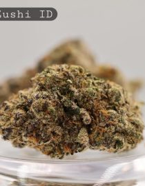 Indoor-Blue-Zushi_Cannabis-Flower_The-Dope-Warehouse