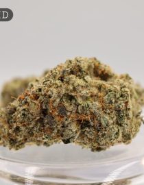 Indoor-Kong_Cannabis-Flower_The-Dope-Warehouse