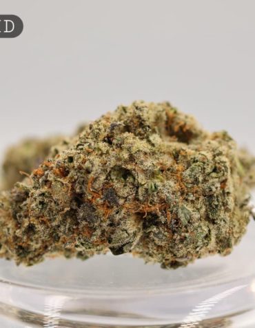 Indoor-Kong_Cannabis-Flower_The-Dope-Warehouse