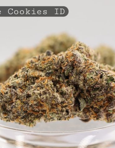 Indoor-Peyote-Cookies_Cannabis-Flower_The-Dope-Warehouse