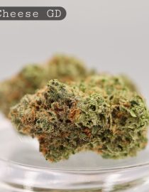 Greendoor-Blue-Cheese_Cannabis-Flower_The-Dope-Warehouse