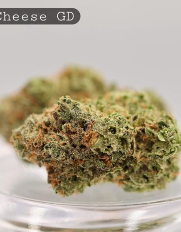 Greendoor-Blue-Cheese_Cannabis-Flower_The-Dope-Warehouse