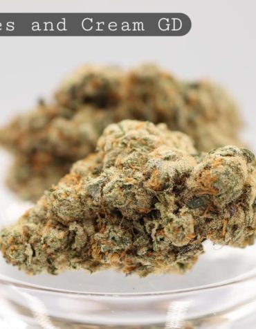Greendoor-Peaches-and-Cream_Cannabis-Flower_The-Dope-Warehouse