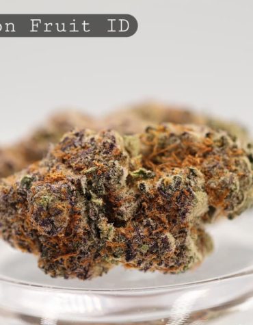 Indoor-Passion-Fruit_Cannabis-Flower_The-Dope-Warehouse