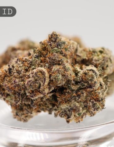 Indoor-Runtz_Cannabis-Flower_The-Dope-Warehouse