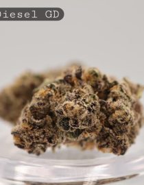Greendoor-Sour-Diesel_Cannabis-Flower_The-Dope-Warehouse
