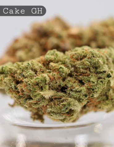 Greenhouse-Fruit-Cake_Cannabis-Flower_The-Dope-Warehouse