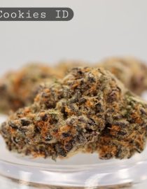 Indoor-Pink-Cookies_Cannabis-Flower_The-Dope-Warehouse