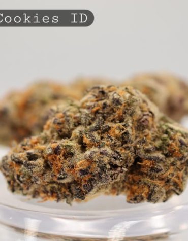 Indoor-Pink-Cookies_Cannabis-Flower_The-Dope-Warehouse