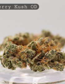 Outdoor-Raspberry-Kush_Cannabis-Flower_The-Dope-Warehouse