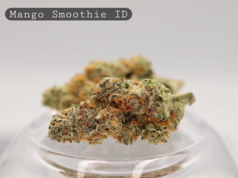 Indoor-Mango-Smoothie_Indoor-bud_Cannabis_-Flower_weed_the-dope-warehouse