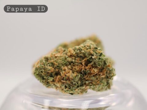 Indoor-Papaya_Indoor-bud_Cannabis_-Flower_weed_the-dope-warehouse - The Dope Warehouse
