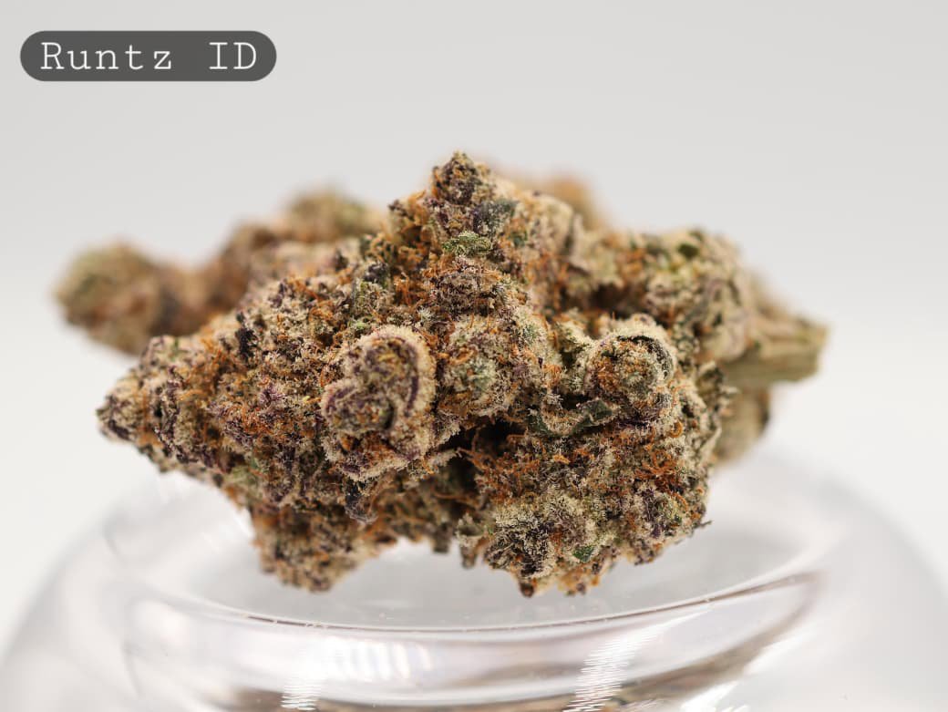 Indoor-Runtz_Indoor-bud_Cannabis_-Flower_weed_the-dope-warehouse - The Dope Warehouse