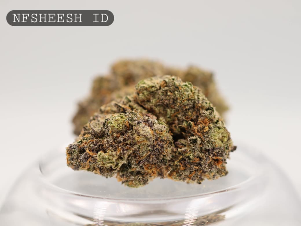Indoor-NFSHEESH-The-Dope-Warehouse-Cannabis-THC-Bud-Weed - The Dope Warehouse