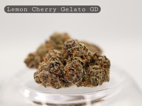 Greendoor-Lemon-Cherry-Gelato-The-Dope-Warehouse-Cannabis-THC-Bud-Weed - The Dope Warehouse