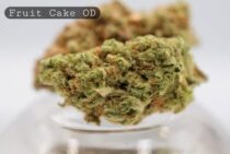 Outdoor Fruit Cake
