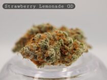 Greendoor Strawberry Lemonade