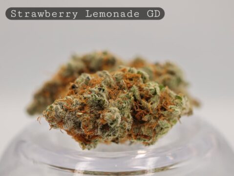 Greendoor Strawberry Lemonade