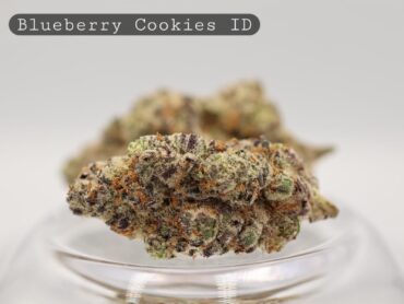 Indoor Blueberry Cookies