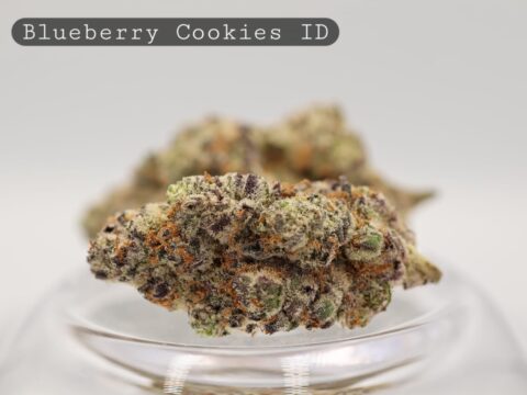Indoor Blueberry Cookies