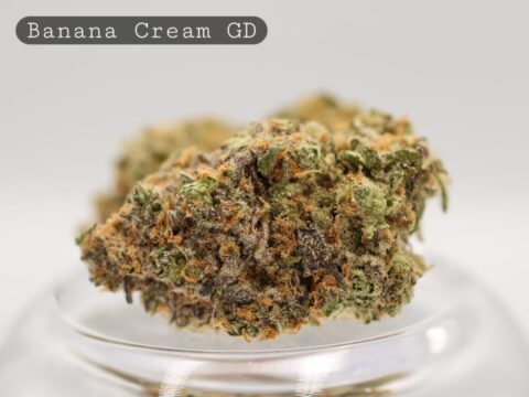Greendoor Banana Cream