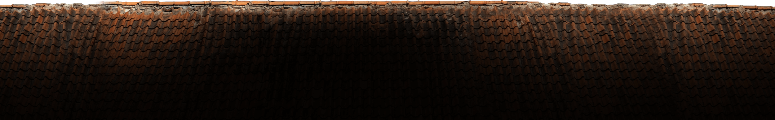 Merry Christmas and Happy New Year-the Dope warehouse